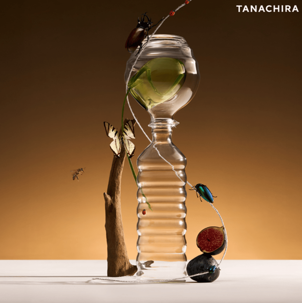 Project: Recycled Material Packaging Initiative